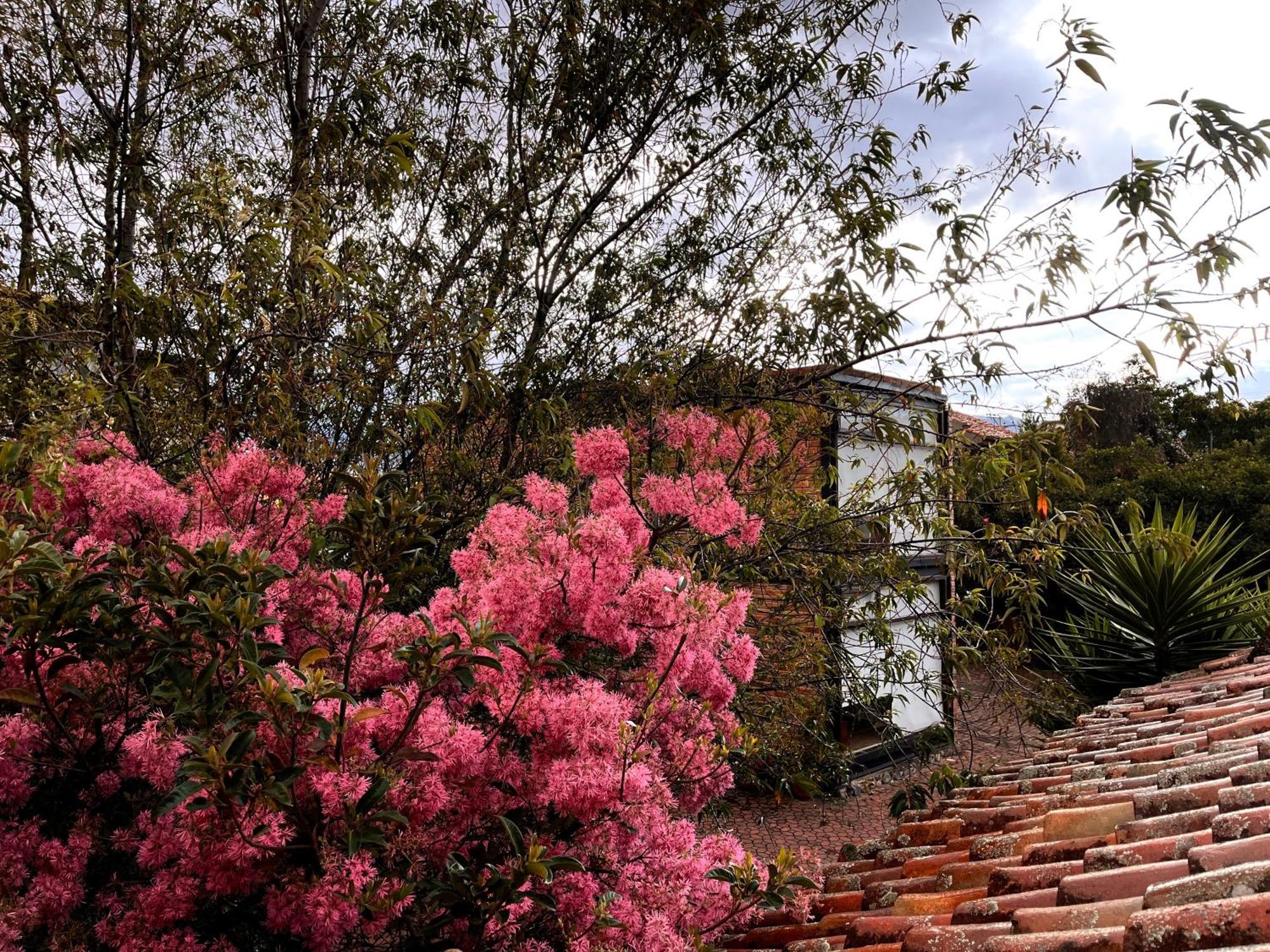 Casa Lloret Cuenca Exterior photo